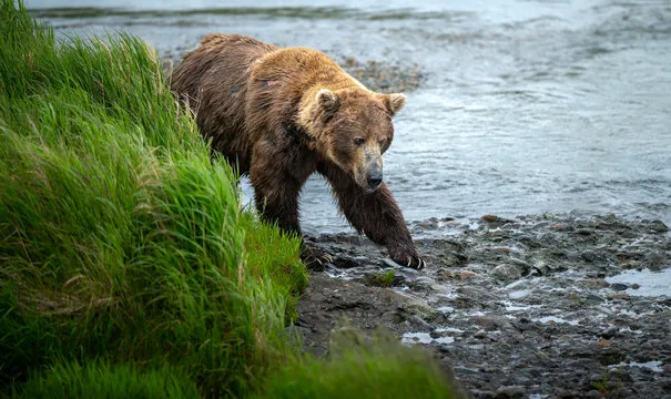 定位分析法图表示例